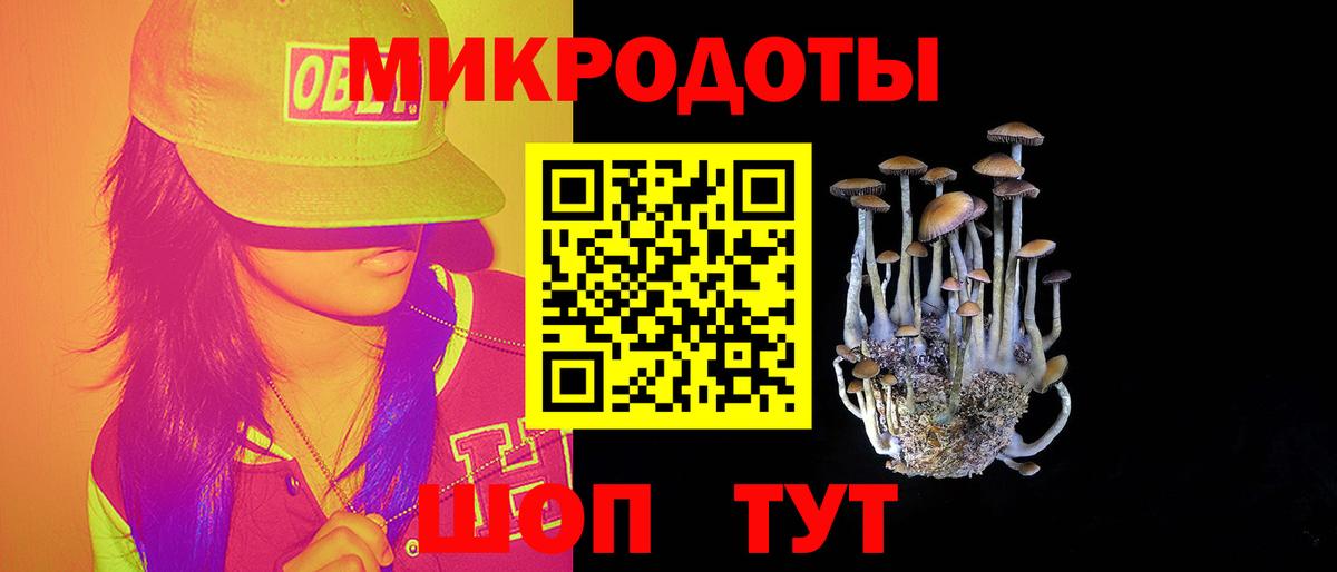 Псилоцибиновые грибы мухоморы Петропавловск-Камчатский