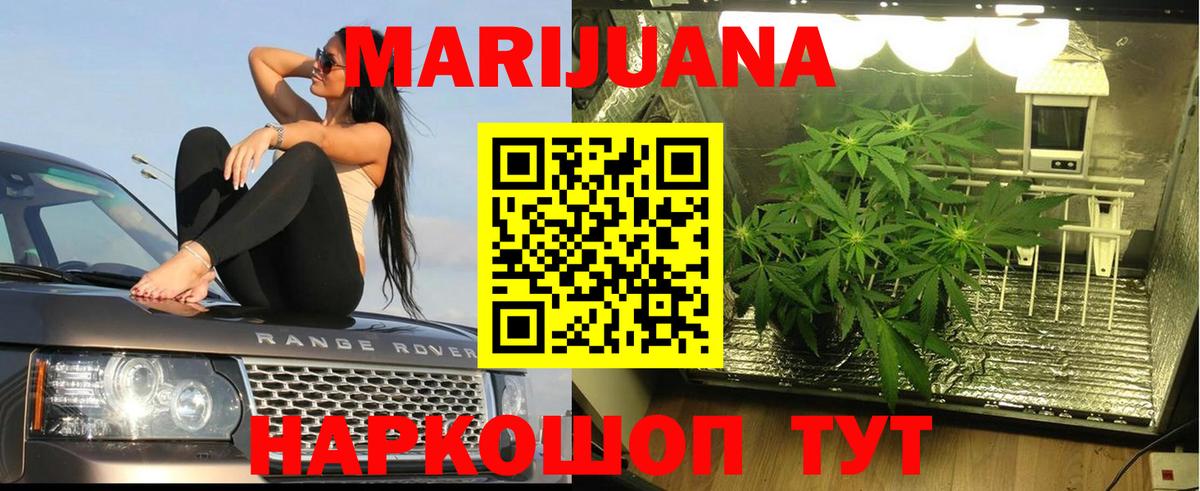 Каннабис OG Kush Петропавловск-Камчатский